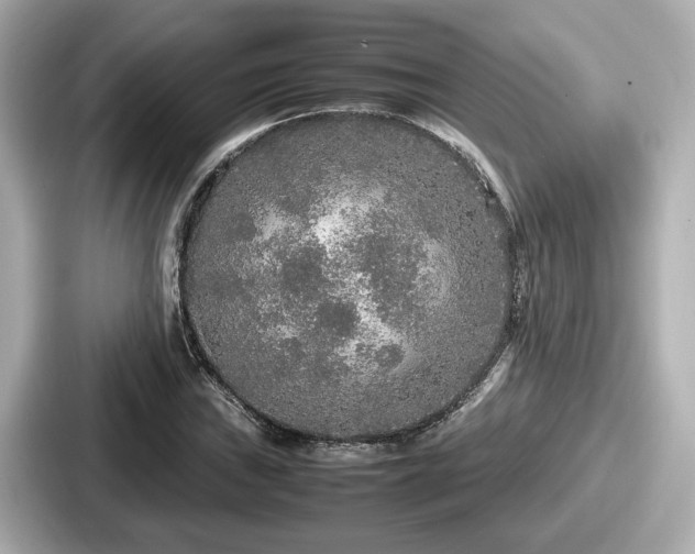 X0000087641019200705101043