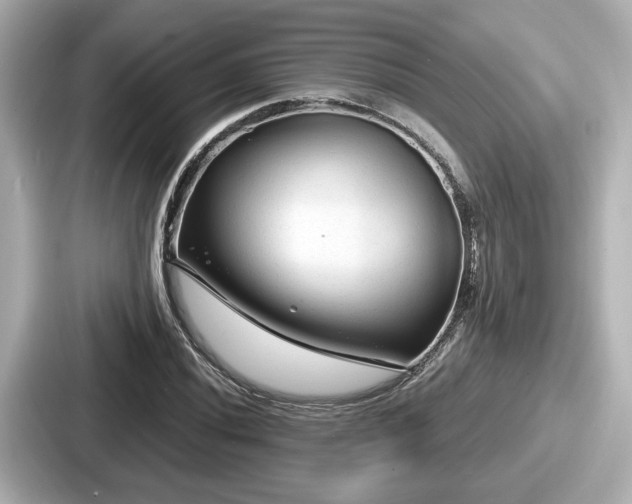 X0000087641020200705101043