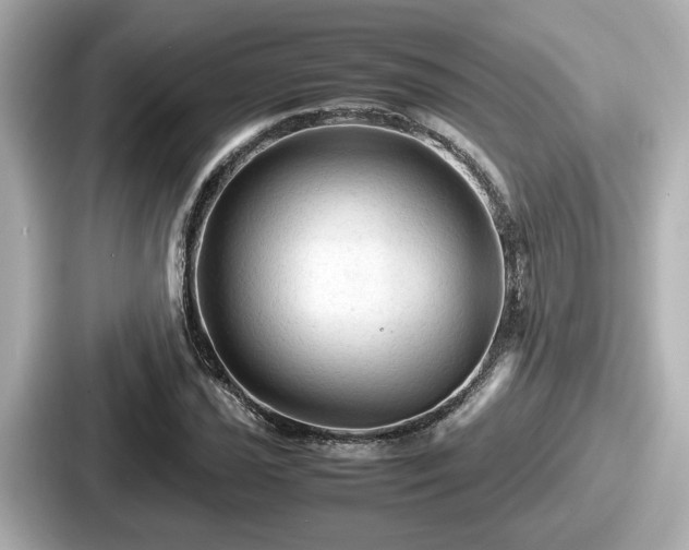 X0000087641021200705101043