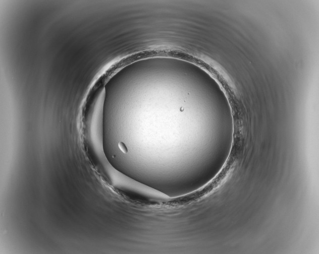 X0000087641022200705101043