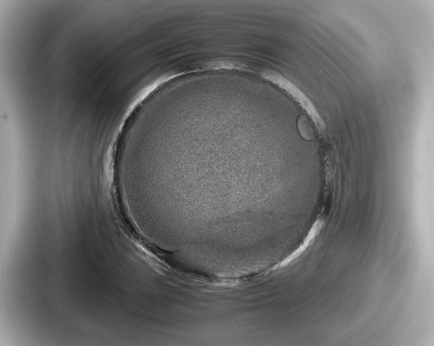 X0000087641023200705101043