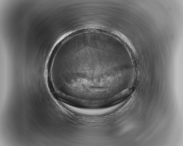 X0000087641024200705101043