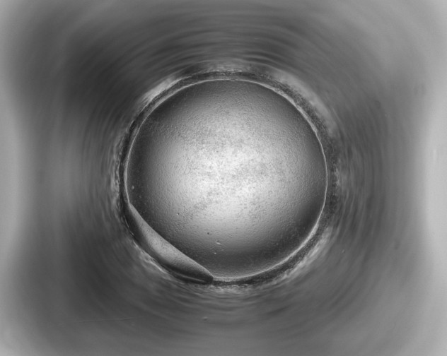 X0000087641025200705101043