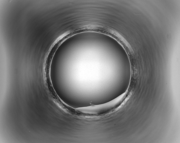 X0000087641026200705101043