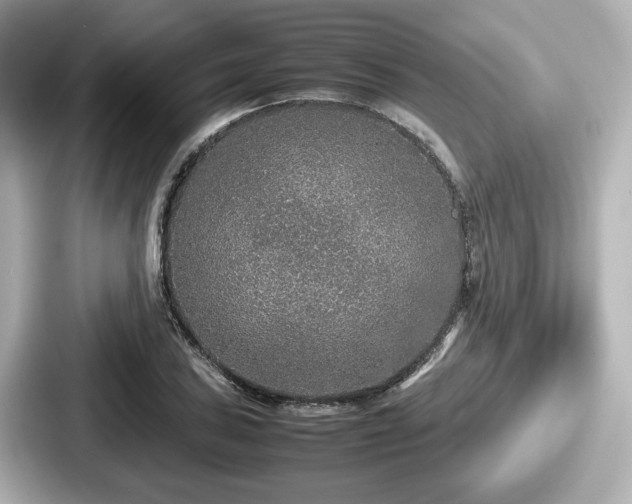 X0000087641027200705101043