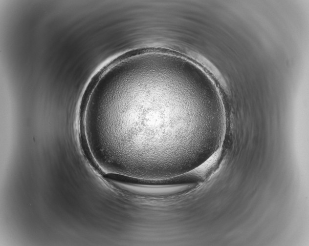 X0000087641028200705101043