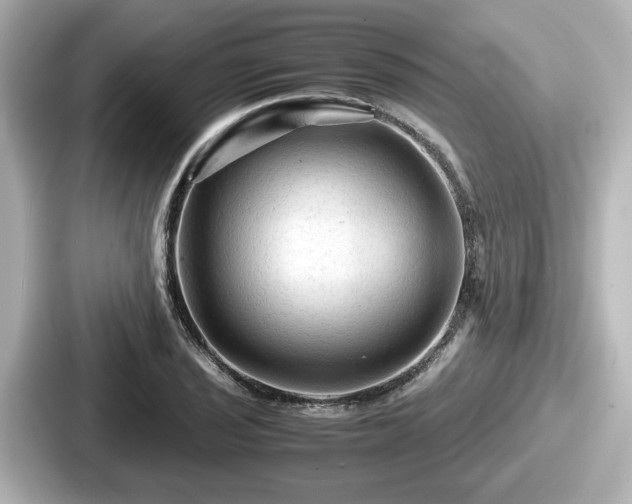 X0000087641029200705101043