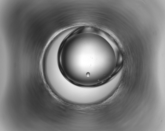 X0000087641030200705101043