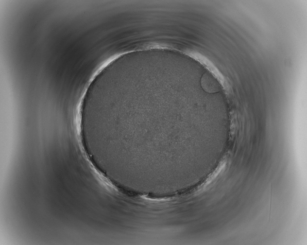 X0000087641031200705101043