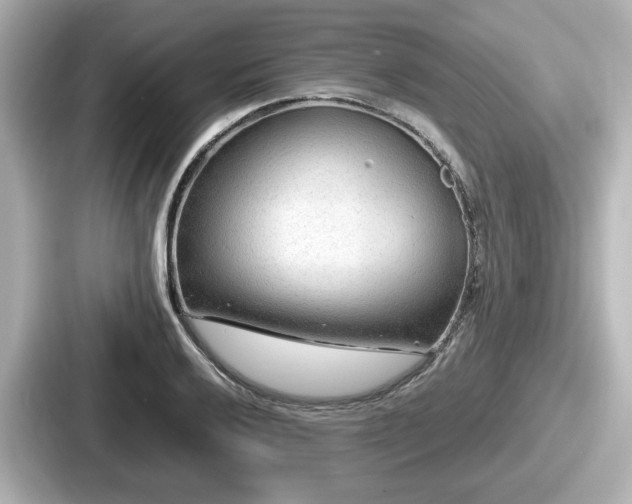 X0000087641032200705101043