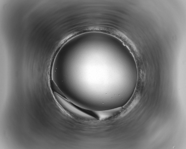 X0000087641033200705101043