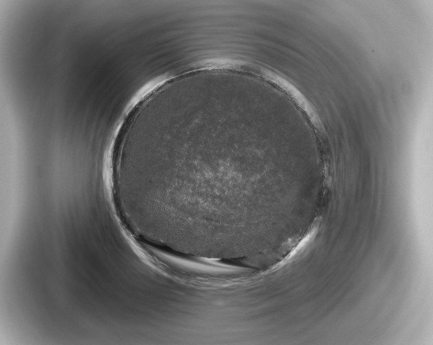 X0000087641034200705101043