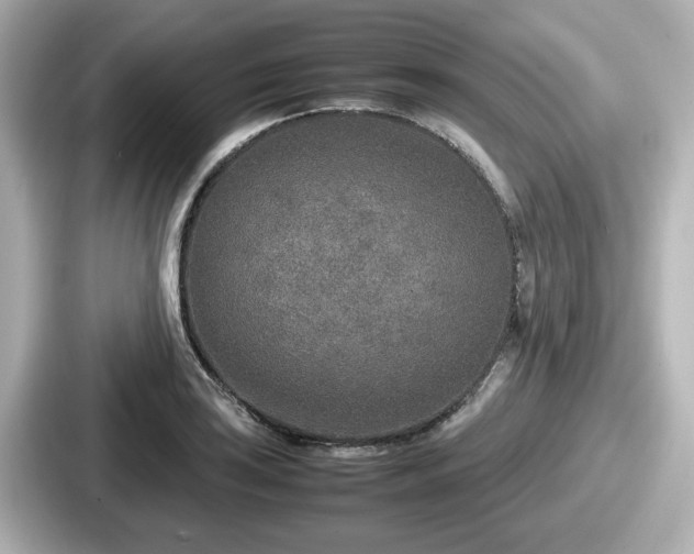 X0000087641035200705101043