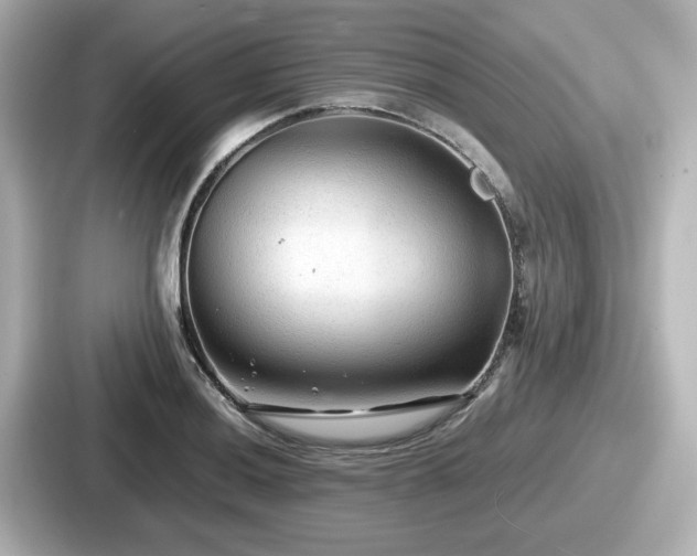 X0000087641036200705101043