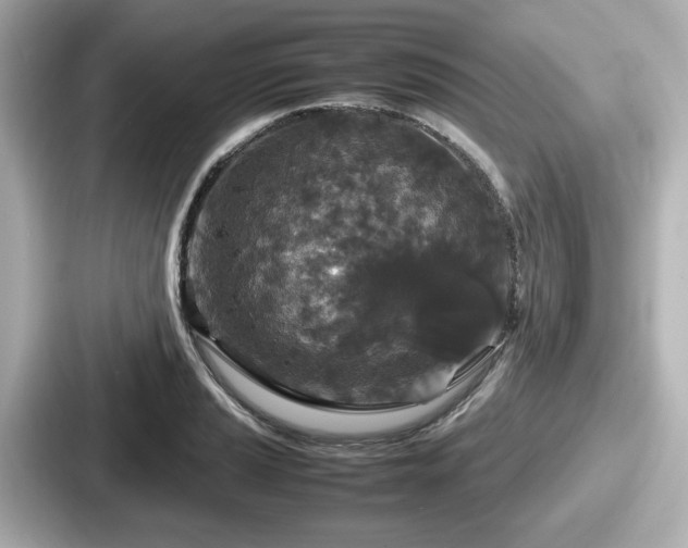 X0000087641037200705101043