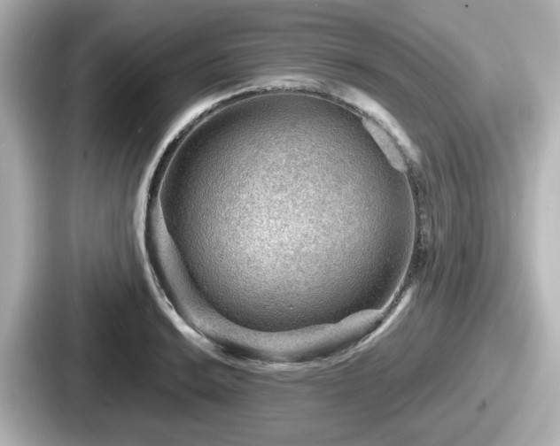 X0000087641038200705101043