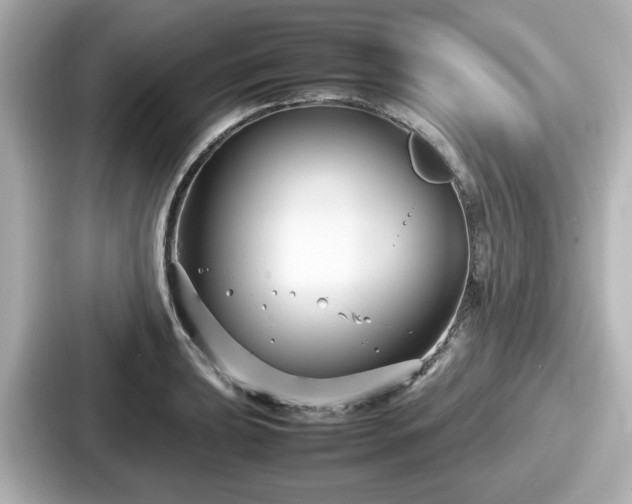 X0000087641039200705101043