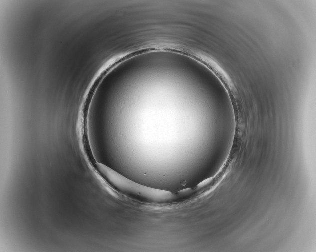 X0000087641040200705101043