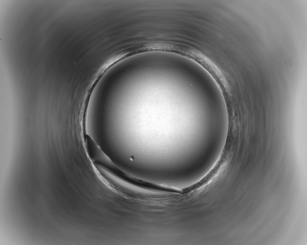 X0000087641041200705101043