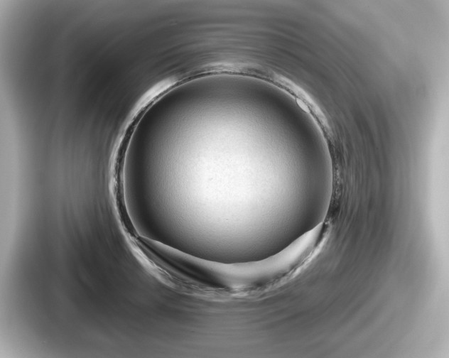 X0000087641042200705101043