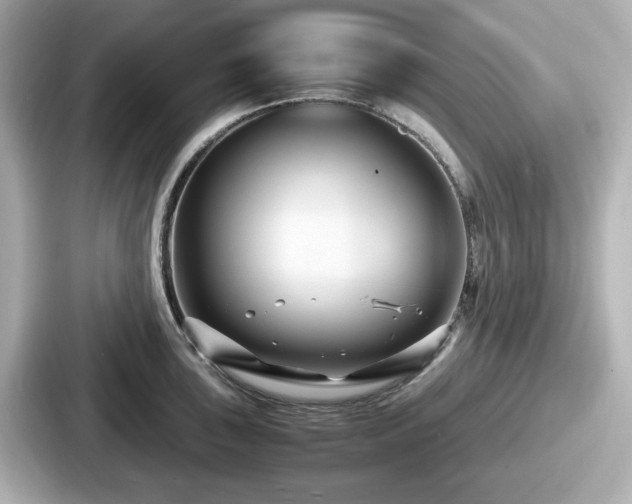 X0000087641043200705101043