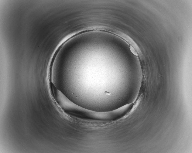 X0000087641044200705101043