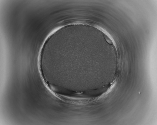 X0000087641045200705101043