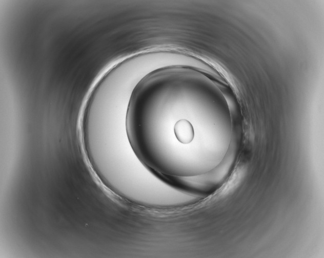 X0000087641046200705101043