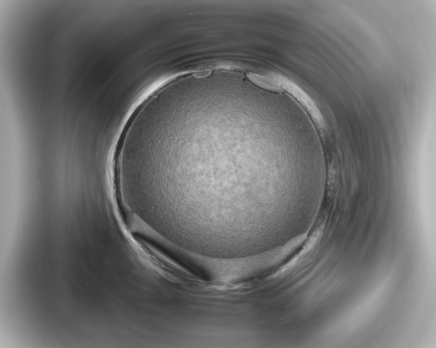 X0000087641047200705101044