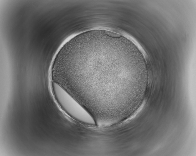 X0000087641048200705101044