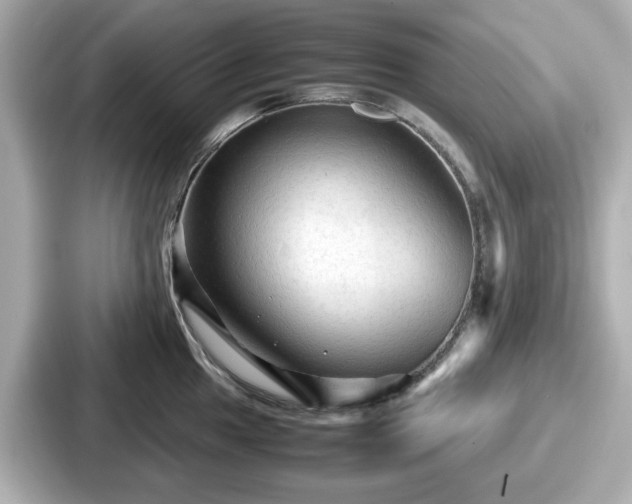 X0000087641049200705101044