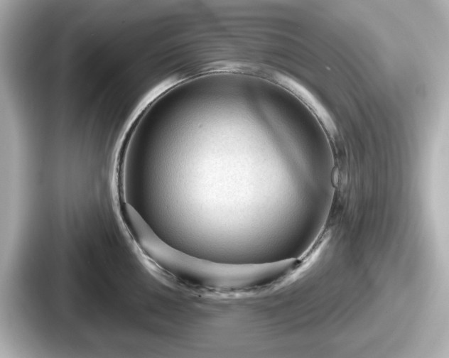 X0000087641050200705101044