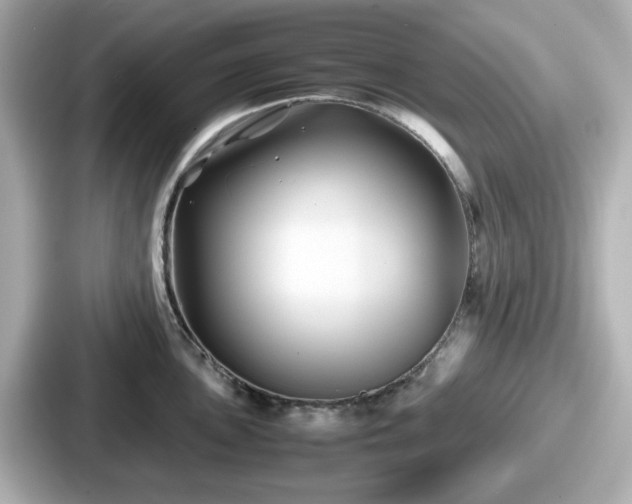 X0000087641051200705101044