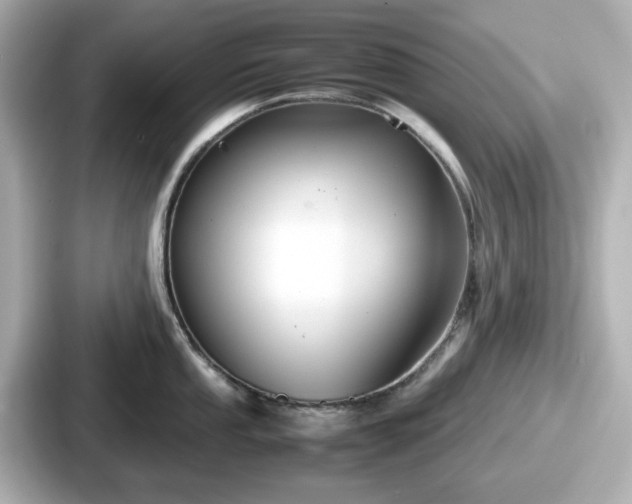 X0000087641053200705101044