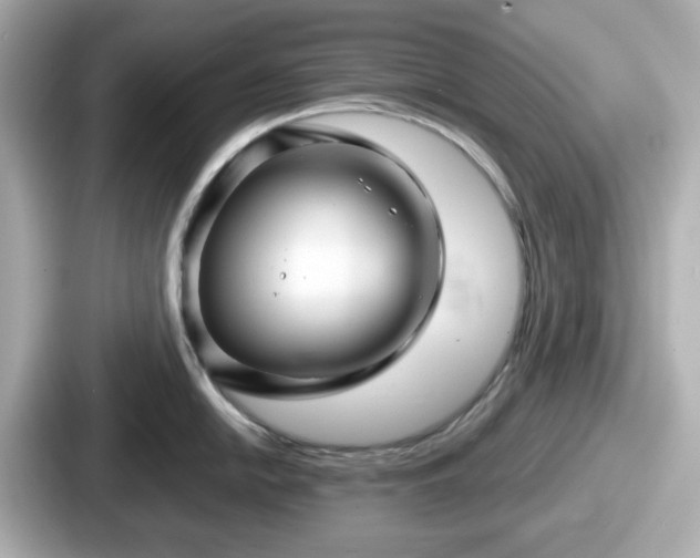 X0000087641054200705101044