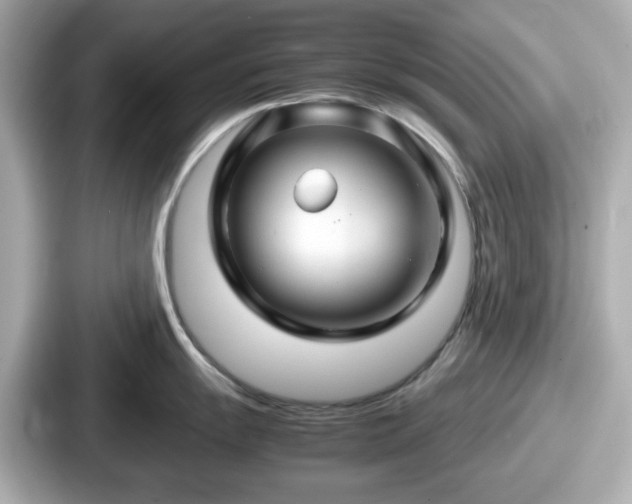 X0000087641055200705101044