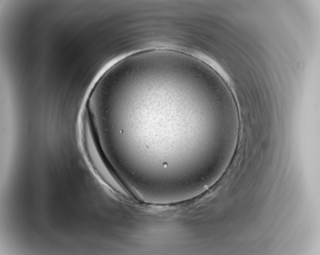 X0000087641056200705101044