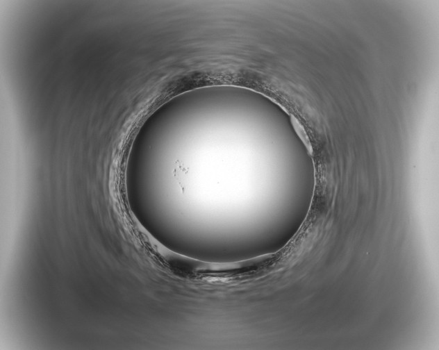 X0000087641057200705101043