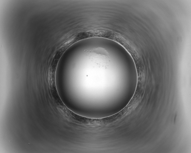 X0000087641058200705101043