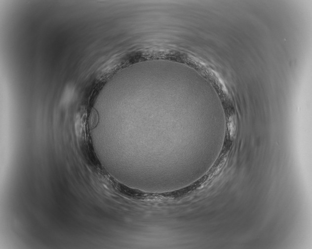 X0000087641059200705101043