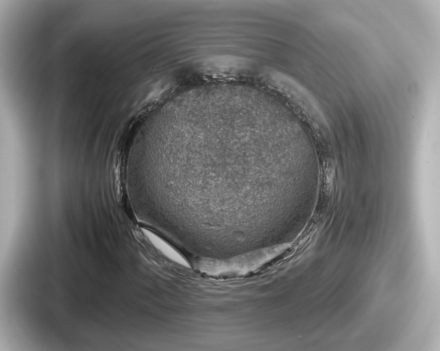 X0000087641060200705101043