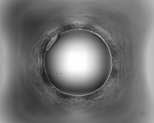 X0000087641061200705101043