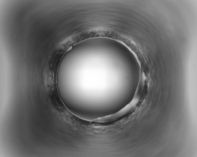 X0000087641062200705101043