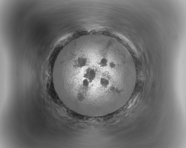 X0000087641063200705101043