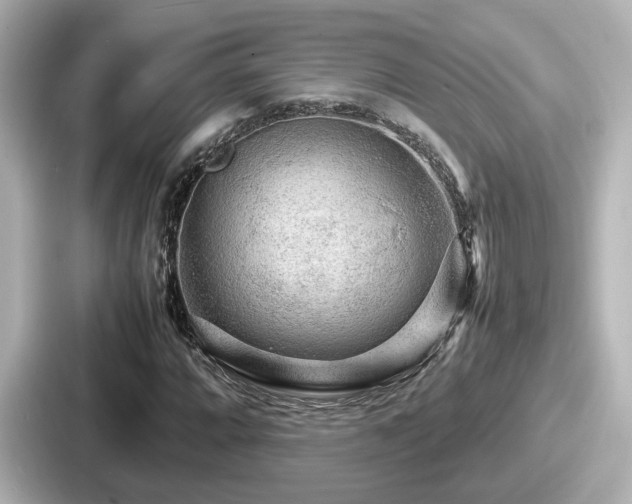 X0000087641064200705101043