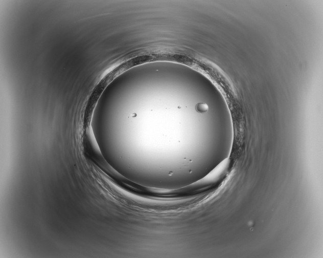 X0000087641065200705101043