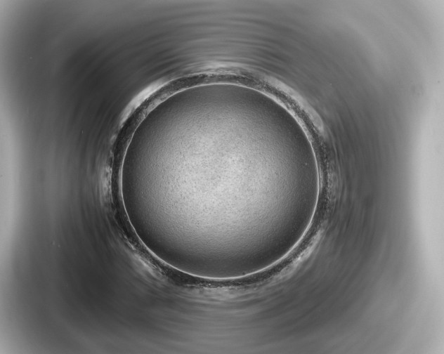 X0000087641066200705101043