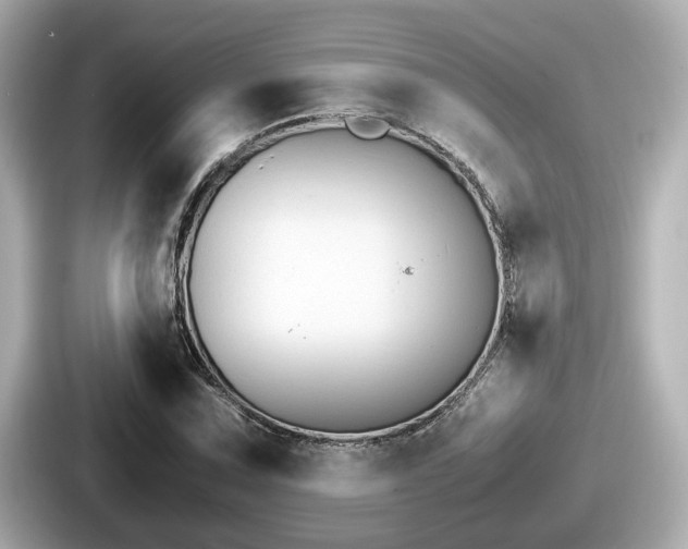 X0000087641067200705101043