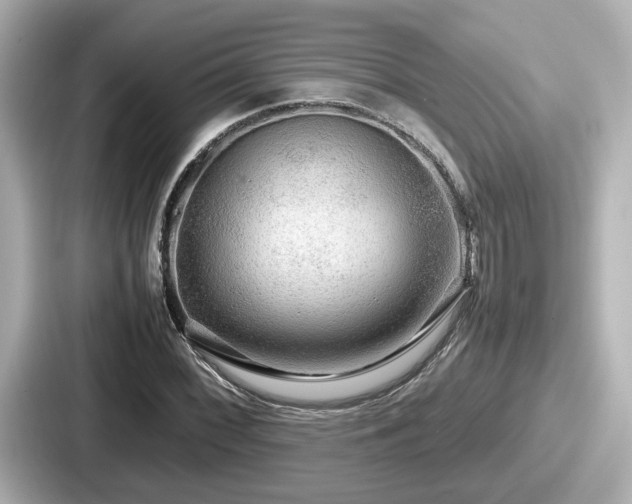 X0000087641068200705101043