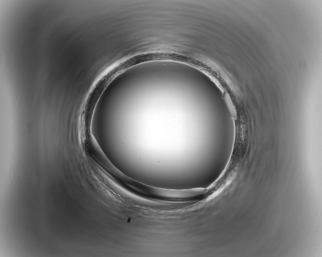 X0000087641069200705101043